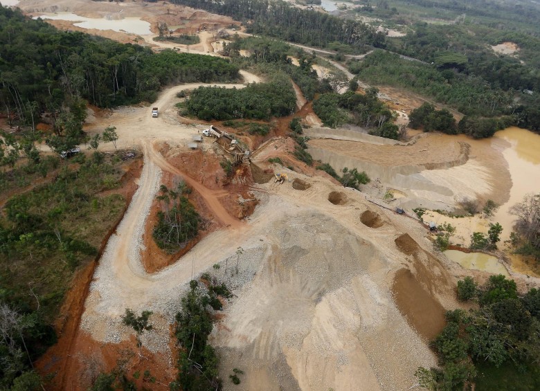 Solo en 2016, en Colombia, fueron deforestadas 178.000 hectáreas de bosque según el Ideam. FOTO Donaldo Zuluaga