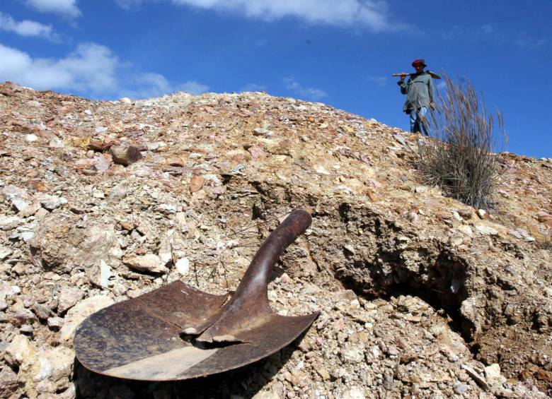 La tierra aún guarda muchos secretos que los paleontólogos buscan descifrar con sus descubrimientos. FOTO archivo