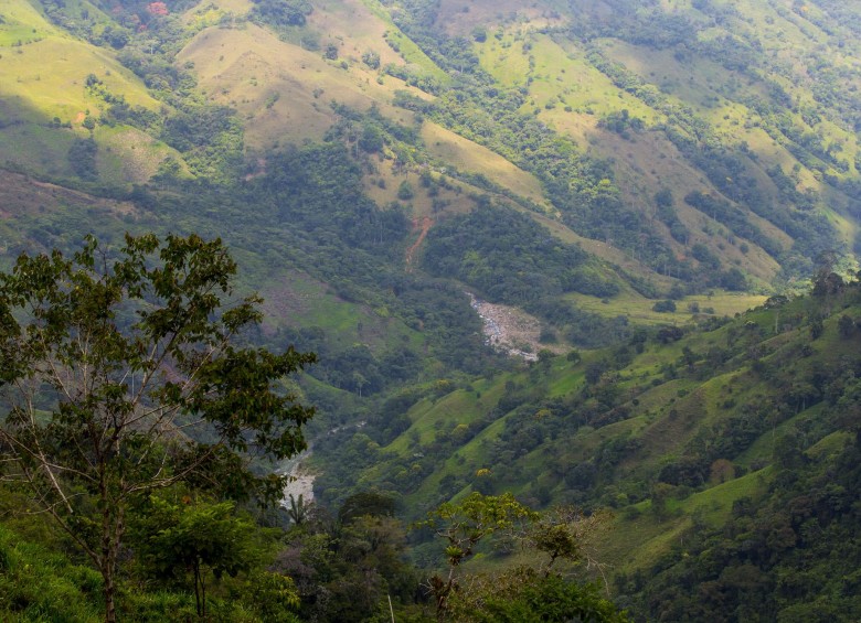 Briceño, Antioquia. FOTO JAIME PÉREZ