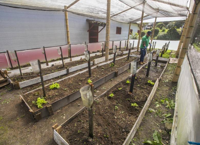 Reconstruir, casi desde las ruinas, un espacio para la biodiversidad