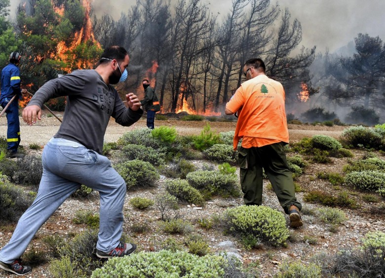 Asciende a 79 el número de muertos por incendios de Grecia