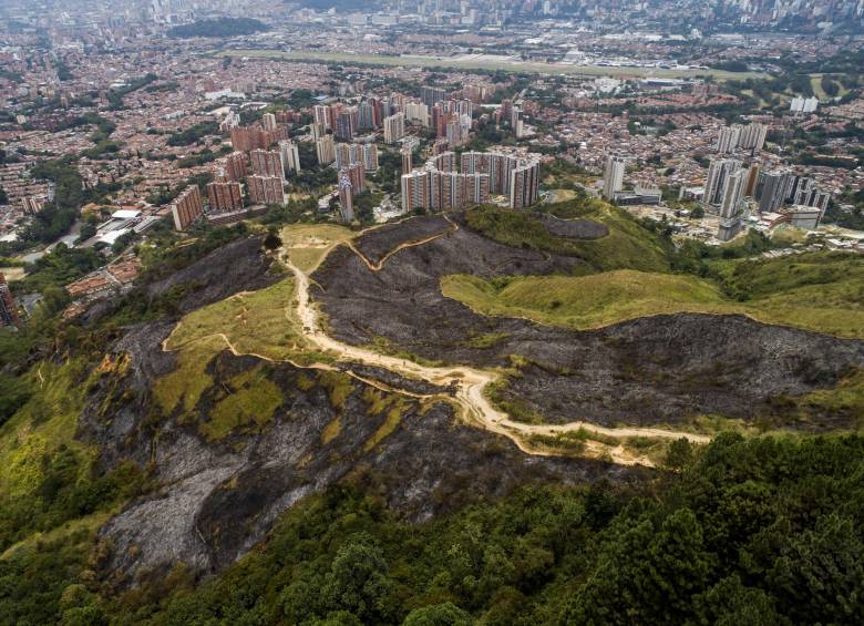 En la primera semana de septiembre, dos incendios de gran magnitud consumieron más de seis hectáreas de bosque en las Tres Cruces. FOTO JULIO CÉSAR HERRERA