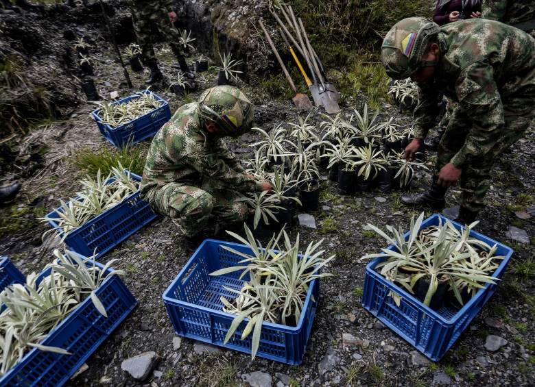 El Páramo era uno de los puntos estratégicos de enfrentamientos entre la guerrilla y el Ejército. FOTO COLPRENSA