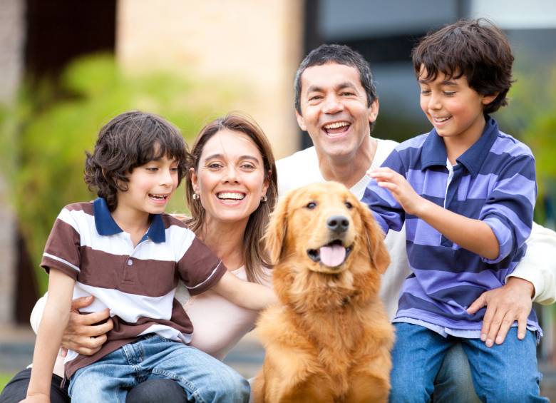 En Colombia las mascotas más comunes son los perros, 72 por ciento de los hogares con mascotas tienen perros. FOTO Shutterstock