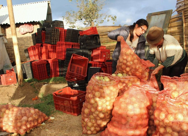 La compra de frutas y verduras directamente a pequeños productores agropecuarios del país es una de las estrategias que busca consolidar el Grupo Éxito. FOTO Cortesía G. Éxito