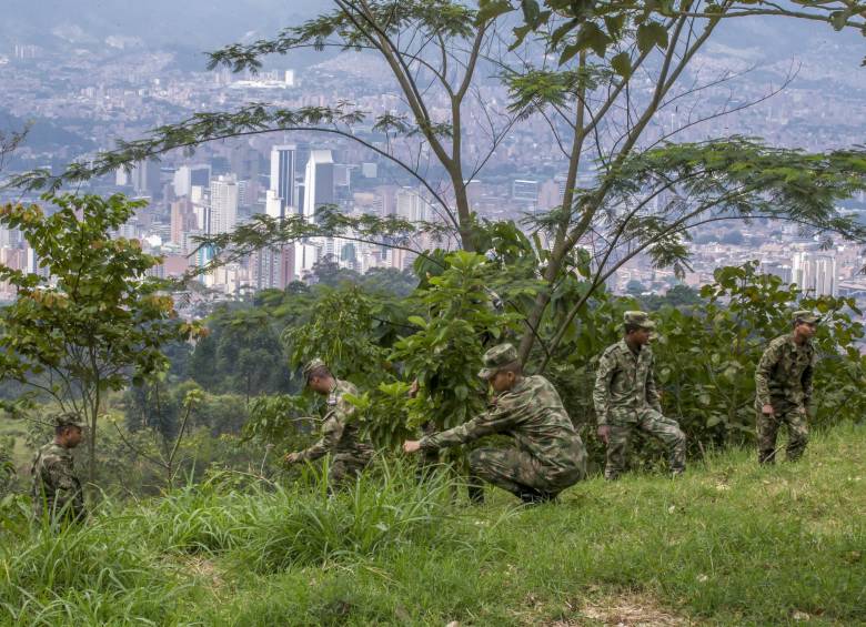 En la comuna 8 de Medellín se encuentra el Bosque de los Héroes, en el que los soldados del Batallón Girardot han sembrado 29.000 árboles, con apoyo de contratistas del Jardín Botánico. FOTOS JUAN Antonio SÁNCHEZ