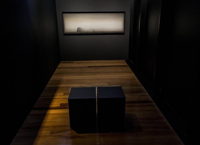 “Pensamos que solo está el paisaje urbano. Resulta que el natural nos invade, un viento que recorre con todos los lugares”. 