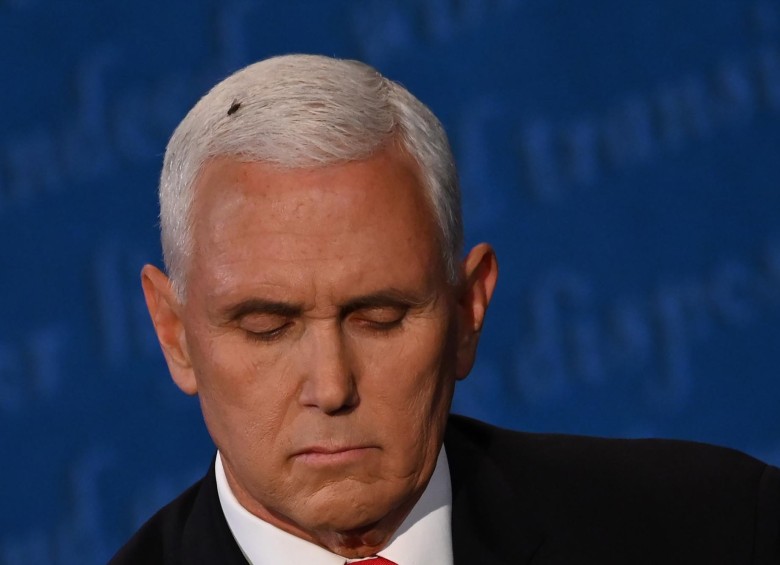 Una Mosca En La Cabeza De Pence Durante Debate Deleita A Internautas