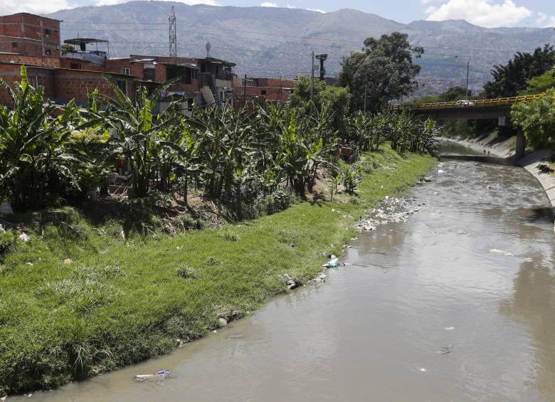 Varias quebradas fueron contaminadas con un hidrocarburo por establecer. FOTO MANUEL SALDARRIAGA