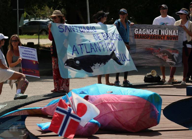 Decenas de personas se están congregando en el encuentro de la Comisión Ballenera Internacional. FOTO: Efe