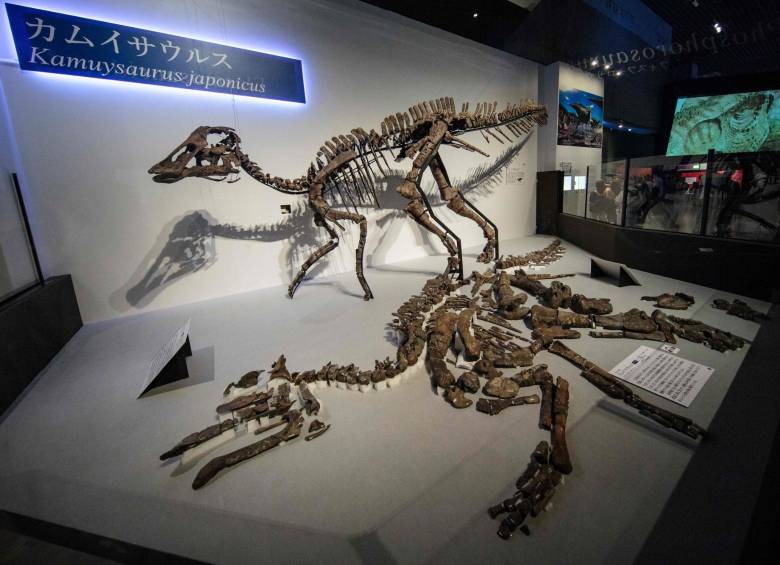 La nueva especie de dinosaurio que descubrieron en Japón