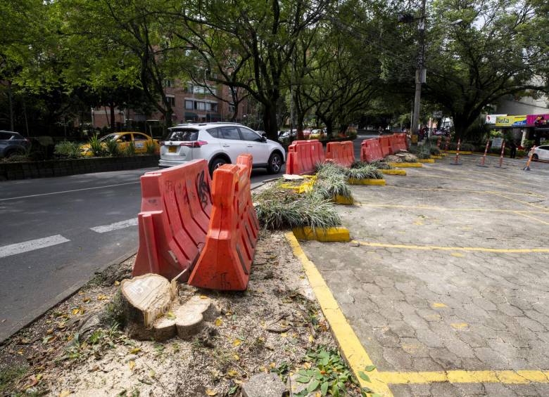 El sonido de motosierras despertó esta mañana del 31 de diciembre a los activistas del túnel verde en Envigado. Una cuadrilla de obreros comenzó sorpresivamente la tala de un número de árboles entre el mall Villagrande y el puente sobre la Ayurá. Foto: Esteban Vanegas. 