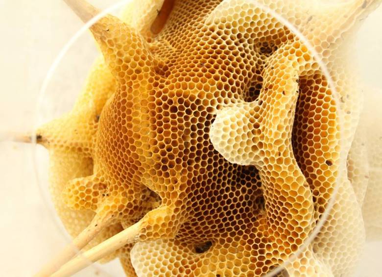 Las abejas escultoras de Ren Ri