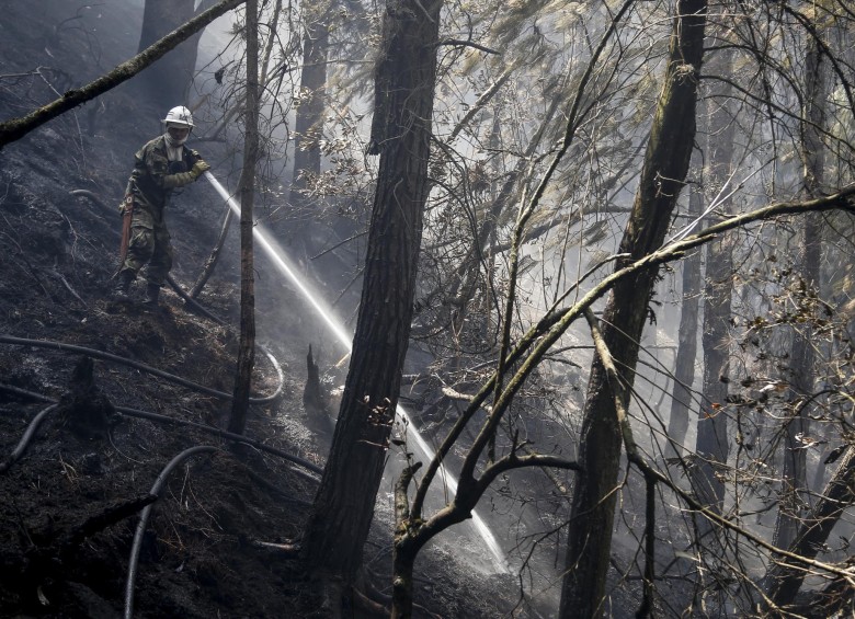 En total ardieron 119.385 hectáreas en todo el país durante el año pasado. FOTO COLPRENSA