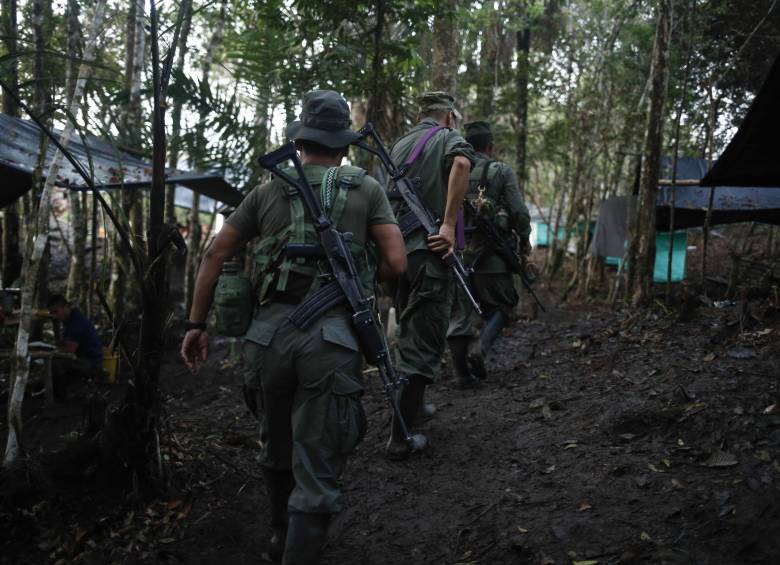 Aún se tiene poca claridad sobre las muertes de dos guerrilleros de las Farc en Bolívar. FOTO COLPRENSA