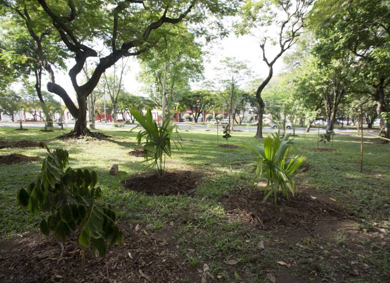 La intervención en la zona de influencia de Parques del Río aumentaría el espacio verde a la ciudad.