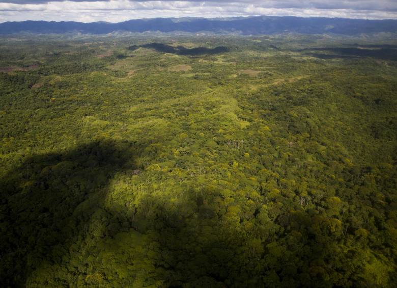 Deforestación por tala de árboles y minería en la región de Bajo Cauca, Antioquia. Foto Esteban Vanegas