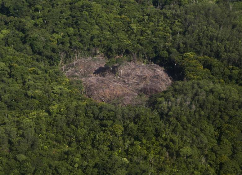 Foto: Esteban Vanegas