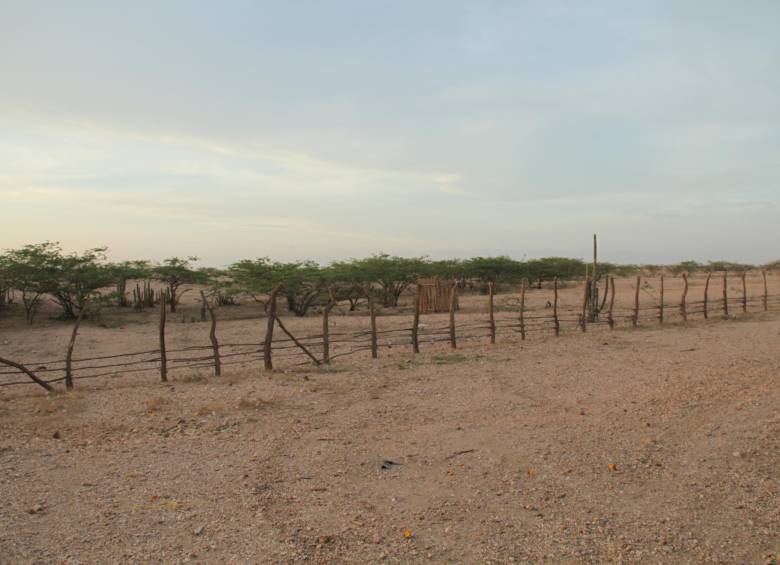 Portete sumará otras 14.000 hectáreas a parques naturales