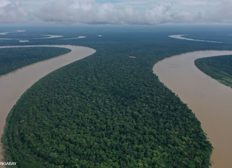 Según el Ideam, en Colombia los bosques ocupan el 52 % del territorio nacional. FOTO cortesía