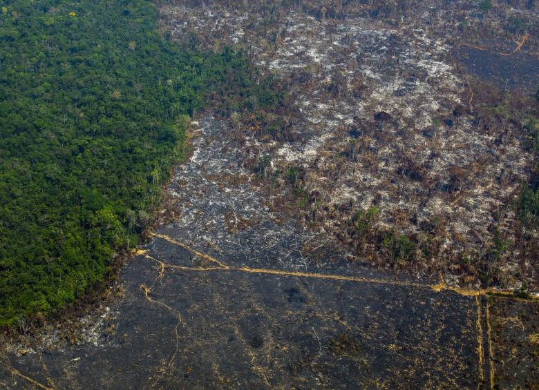 Foto de archivo tomada el 28 de agosto de 2019, que muestra una vista aérea de la deforestación en la Reserva Biológica Nascentes da Serra do Cachimbo, estado de Pará, Brasil, en la cuenca del Amazonas. FOTO AFP