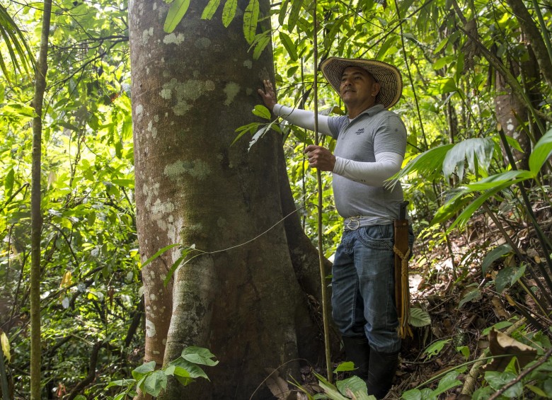 Nicolás Quintero es dueño de 32 hectáreas de bosque en el municipio San Luis, Oriente antioqueño. Él es uno de los 2.394 socios del programa BanCO2 a los que Cornare beneficia en la región. Mensualmente recibe un pago por sus servicios ambientales. FOTO Esteban Vanegas
