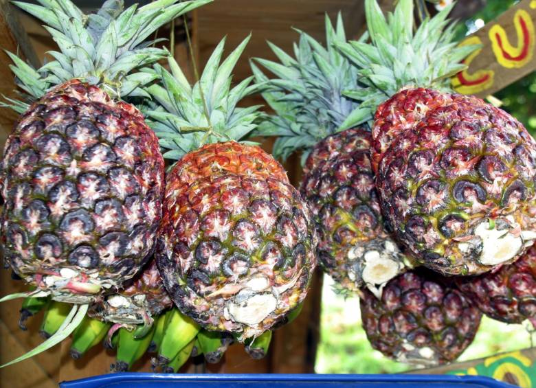 La fruta partió desde el Puerto Marítimo de Buenaventura. FOTO COLPRENSA