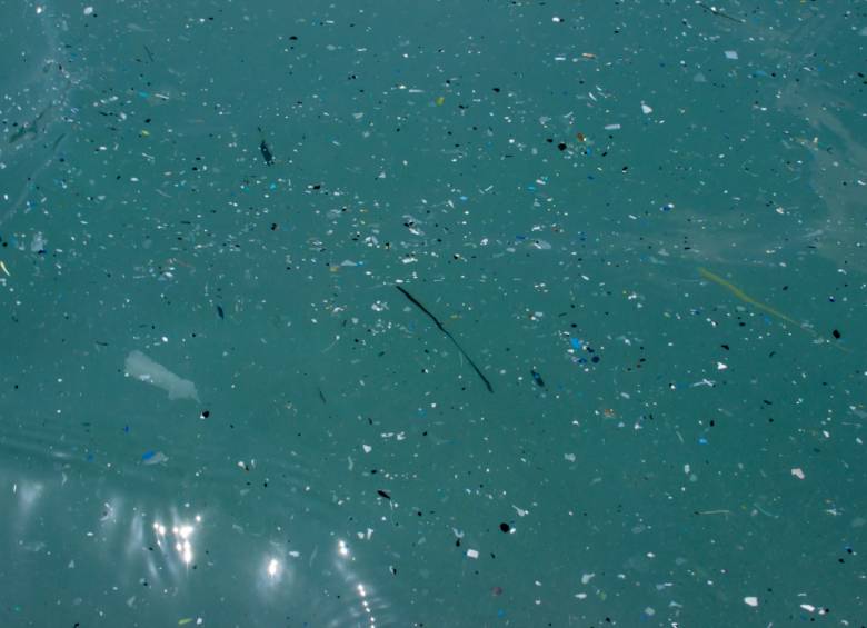 El microplástico es parecido a una bacteria en el sentido de que es indetectable a simple vista, pero está en todas partes. Foto: Shutterstock