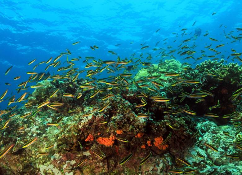 Siete razones para visitar Panamá