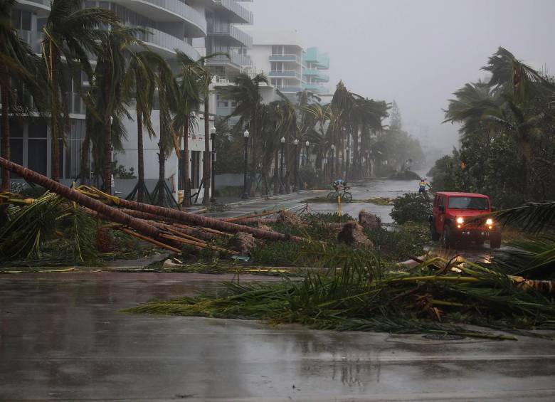 FOTOS AFP