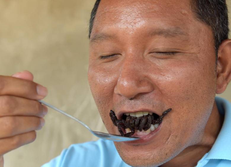 Porque se las comen, se reducen las tarántulas en Camboya