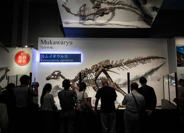 La nueva especie de dinosaurio que descubrieron en Japón