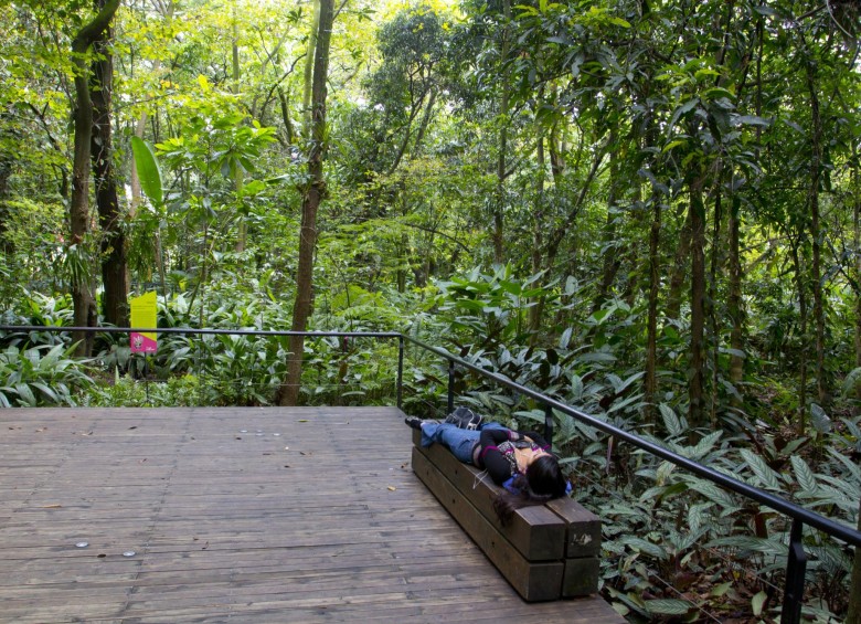 Lugares que son oasis dentro de Medellín