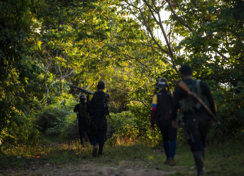 El CICR dice que en Colombia no solo hay un conflicto sino cinco: entre el Estado contra cuatro grupos: Eln, Epl, Clan del Golfo y las disidencias de las Farc y, otro más, entre el Eln y el Epl en Catatumbo. Foto: Julio César Herrera Echeverri