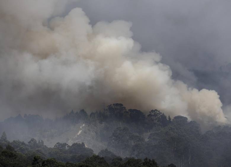 FOTO COLPRENSA