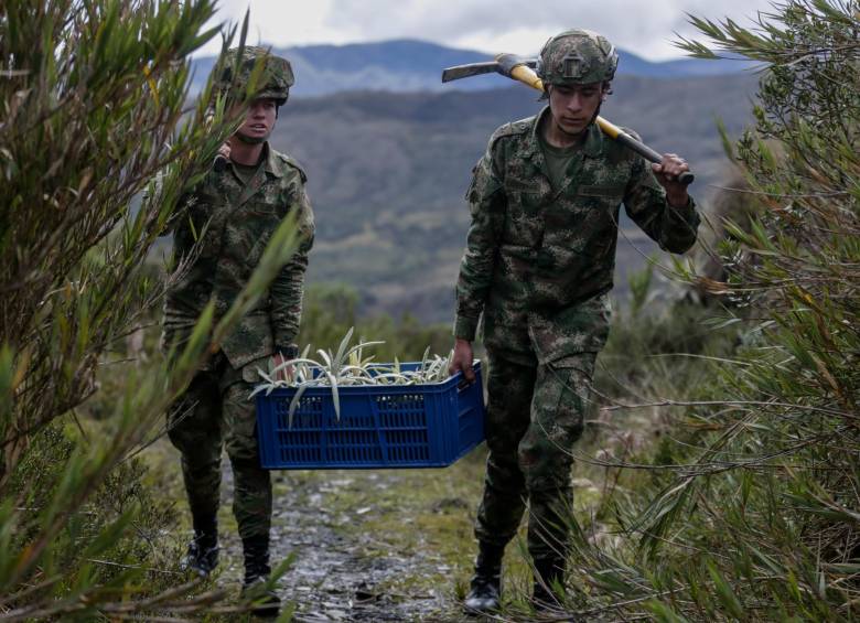  El Páramo de Chingaza, ubicado a las afueras del municipio de La Calera, Cundinamarca, era uno de los puntos estratégicos de enfrentamientos entre la guerrilla y el Ejército. FOTO COLPRENSA