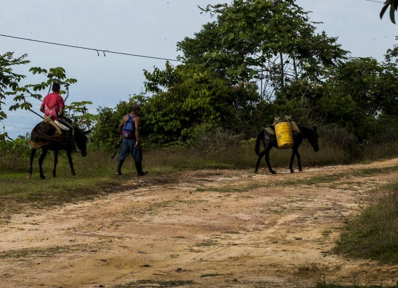 El Bajo Cauca (foto) es una de las regiones más afectadas por las confrontaciones entre grupos ilegales. FOTO: 