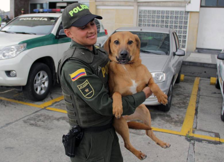 Un patrullero de la estación de Policía de Suba en Bogotá salvó a un perro que fue arrojado por habitantes de calle a un humedal. FOTO COLPRENSA