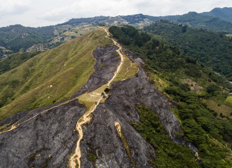 Así quedó el cerro de las Tres Cruces, en Medellín, luego del incendio forestal de hace dos semanas. FOTO Esteban Vanegas Londoño