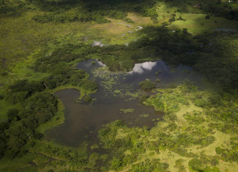 Deforestación por tala de árboles y minería en la región de Bajo Cauca, Antioquia. FOTO Esteban Vanegas
