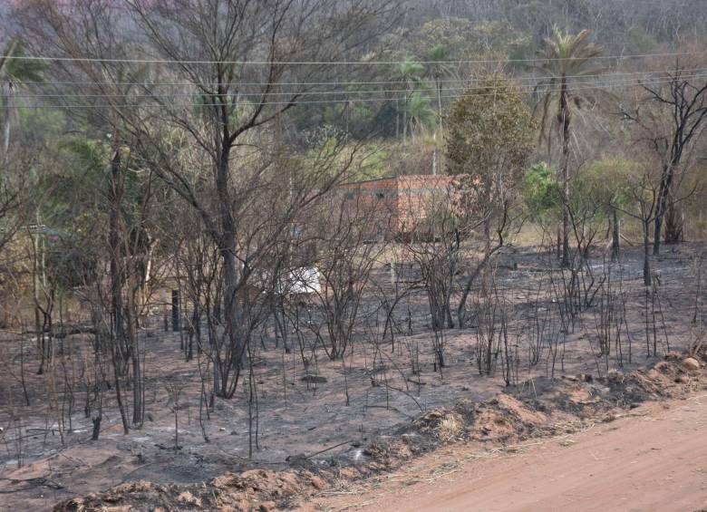 Fotografía cedida por la Agencia de Boliviana de Información (ABI), que muestra uno de los lugares afectados por los incendios este lunes, en el municipio cruceño de Roboré (Bolivia). FOTO EFE