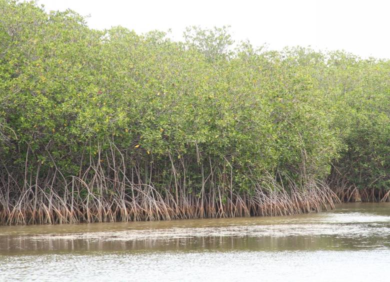 Portete sumará otras 14.000 hectáreas a parques naturales