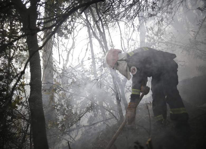 Según las autoridades, los incendios se han agravado por los fuertes vientos. FOTO referencial Colprensa