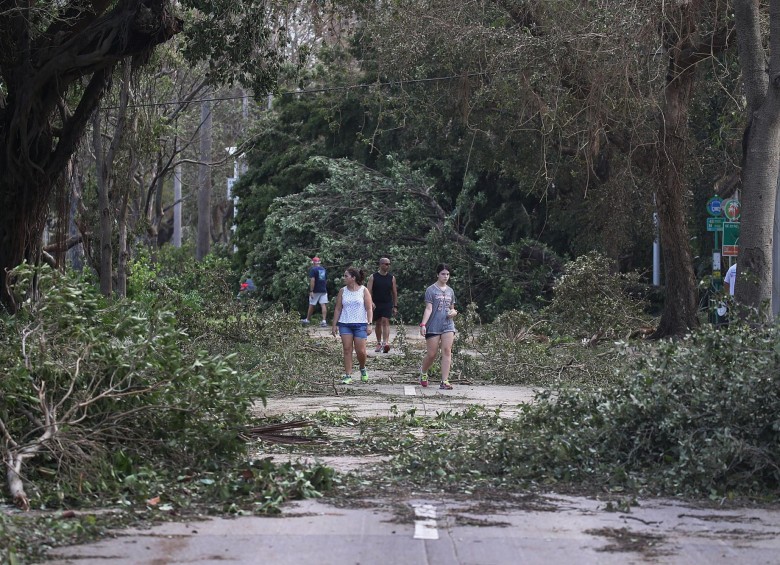 Así quedó Miami tras el paso del huracán Irma