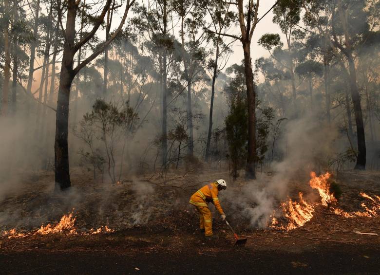 Más de 3.000 reservistas fueron llamados por el primer ministro para apoyar en la lucha contra los incendios. FOTO AFP