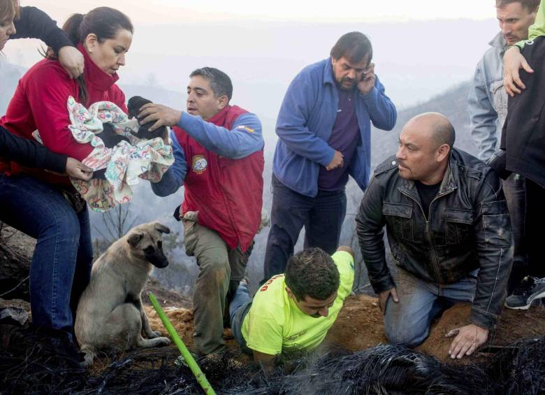 7.000 evacuados y un muerto deja incendio en Chile