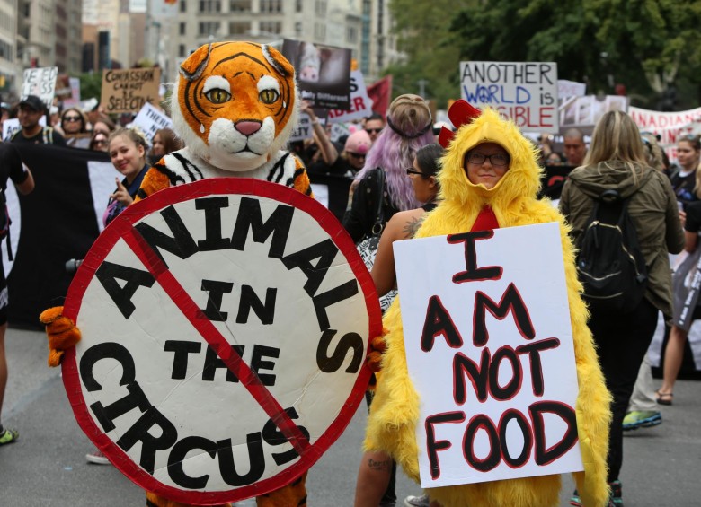PETA es famosa por sus polémicas campañas en contra de la explotación animal. FOTO sstock
