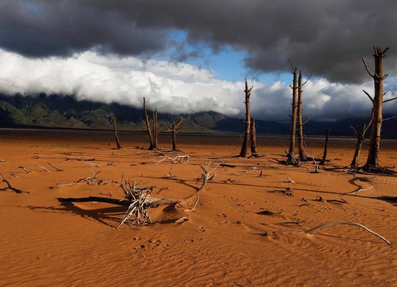 “Producto de las altas temperaturas la tierra está tan seca, que ayer incluso vimos que algunas montañas estaban con pequeños focos de llamas”, manifestó el colombiano que reside en Ciudad del Cabo, Sudáfrica. FOTO EFE