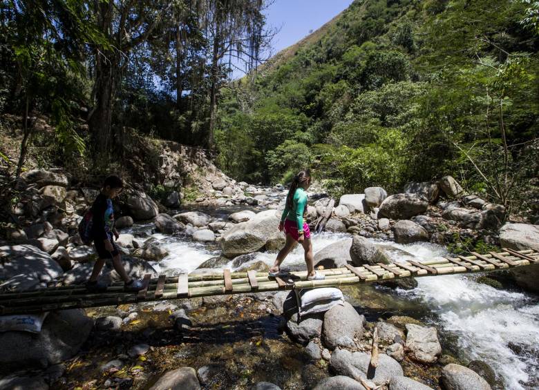 Niños cruzan por el puente de guadua construido por habitantes de San Jerónimo tras la pérdida de un tramo de la vía. FOTO CÉSAR HERRERA
