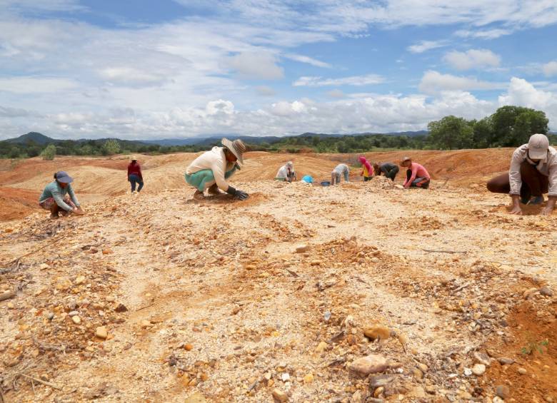 Recuperación de suelos degradados por minería ilegal en Puerto Claver, El Bagre. Foto cortesía Oro Legal